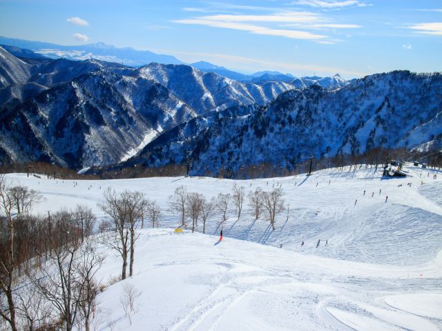 日帰りスキー旅行で雪と自然を楽しもう